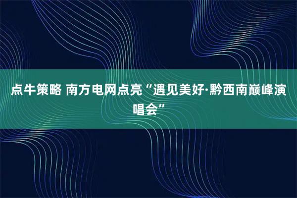 點牛策略 南方電網點亮“遇見美好·黔西南巔峰演唱會”